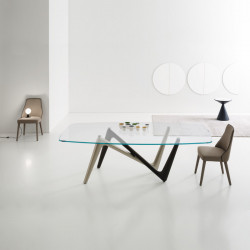 Esse 545 üvegasztal 220x110cm