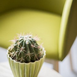 Mousse SP kárpitozott fa vázas karosszék