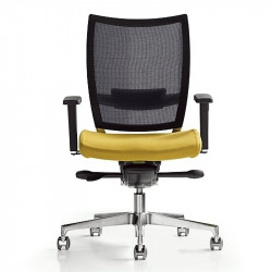 Nest kárpitozott vezetõi irodai szék - hálós háttámlával 05 Fémvázas karosszékek Diemme